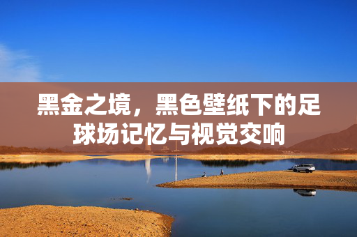 黑金之境,黑色壁纸下的足球场记忆与视觉交响