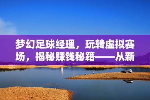梦幻足球经理，玩转虚拟赛场，揭秘赚钱秘籍——从新手到球探的进阶指南