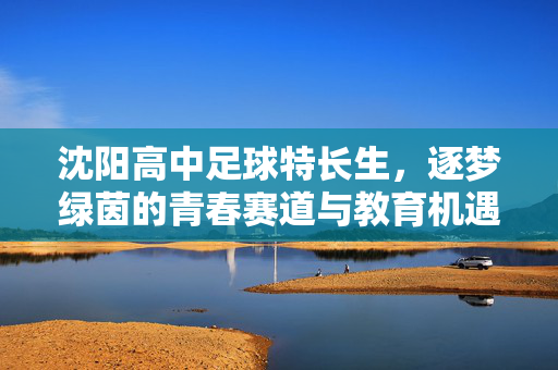 沈阳高中足球特长生，逐梦绿茵的青春赛道与教育机遇，沈阳高中足球特长生，逐梦绿茵的青春赛道与教育机遇
