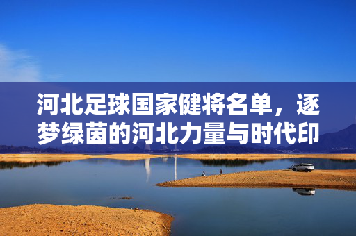 河北足球国家健将名单,逐梦绿茵的河北力量与时代印记