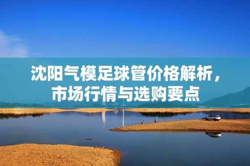沈阳气模足球管价格解析，市场行情与选购要点