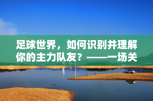 足球世界，如何识别并理解你的主力队友？——一场关于团队协作的深度解析
