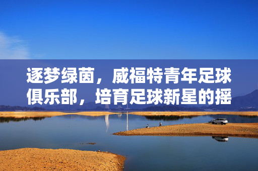 逐梦绿茵，威福特青年足球俱乐部，培育足球新星的摇篮与未来希望