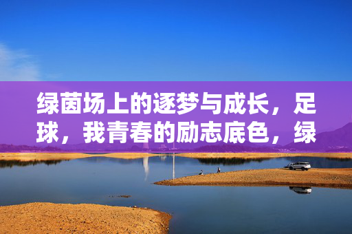 绿茵场上的逐梦与成长，足球，我青春的励志底色，绿茵场上的逐梦成长，足球，青春的励志底色