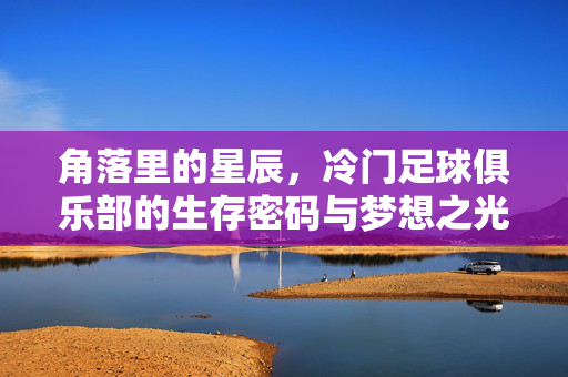 角落里的星辰，冷门足球俱乐部的生存密码与梦想之光，角落里的星辰，冷门足球俱乐部的生存密码与梦想之光