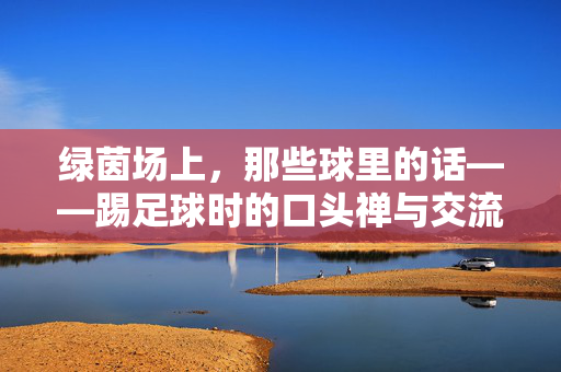 绿茵场上，那些球里的话——踢足球时的口头禅与交流，绿茵场上，那些球里的话——踢足球时的口头禅与交流