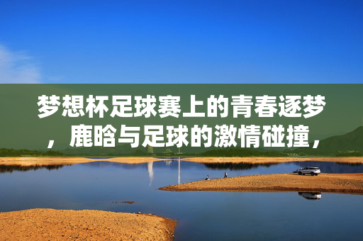梦想杯足球赛上的青春逐梦，鹿晗与足球的激情碰撞，梦想杯足球赛上的青春逐梦，鹿晗与足球的激情碰撞