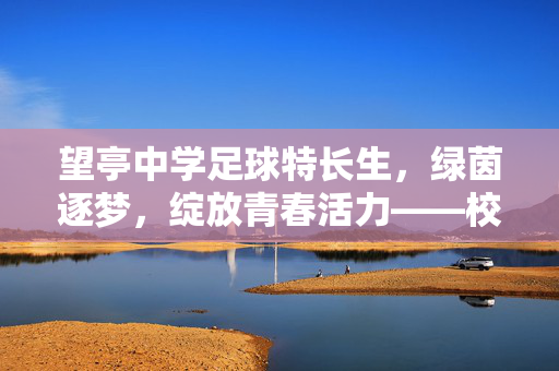 望亭中学足球特长生，绿茵逐梦，绽放青春活力——校园足球的璀璨星河，望亭中学足球特长生，绿茵逐梦，绽放青春活力——校园足球的璀璨星河