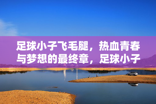 足球小子飞毛腿，热血青春与梦想的最终章，足球小子飞毛腿，热血青春与梦想的最终章