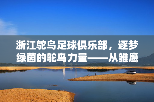 浙江鸵鸟足球俱乐部，逐梦绿茵的鸵鸟力量——从雏鹰展翅到职业化征程的探索，浙江鸵鸟足球俱乐部，逐梦绿茵的鸵鸟力量——从雏鹰展翅到职业化征程的探索