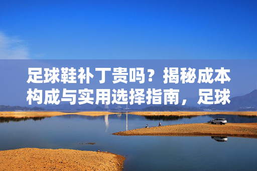 足球鞋补丁贵吗？揭秘成本构成与实用选择指南，足球鞋补丁贵吗？揭秘成本构成与实用选择指南