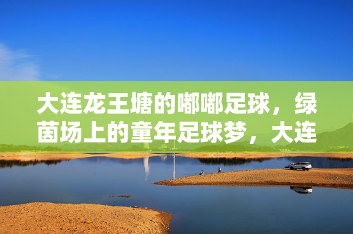 大连龙王塘的嘟嘟足球，绿茵场上的童年足球梦，大连龙王塘嘟嘟足球，绿茵场上的童年足球梦