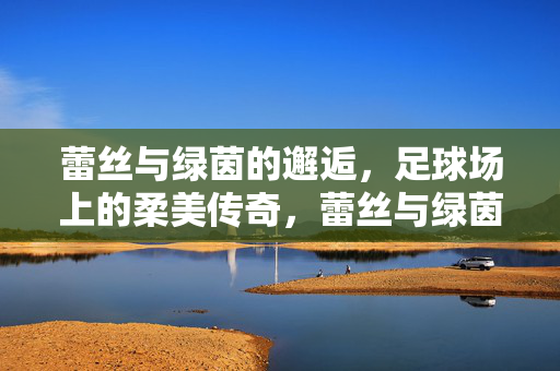 蕾丝与绿茵的邂逅，足球场上的柔美传奇，蕾丝与绿茵的邂逅，足球场上的柔美传奇