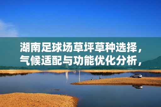 湖南足球场草坪草种选择，气候适配与功能优化分析，湖南足球场草坪草种选择，气候适配与功能优化分析