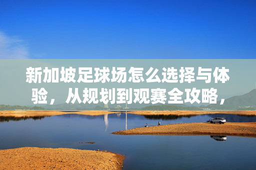 新加坡足球场怎么选择与体验，从规划到观赛全攻略，新加坡足球场怎么选择与体验，从规划到观赛全攻略