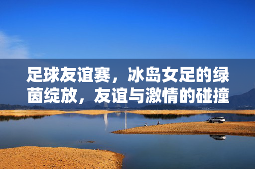 足球友谊赛，冰岛女足的绿茵绽放，友谊与激情的碰撞，足球友谊赛，冰岛女足绿茵绽放，友谊与激情的碰撞
