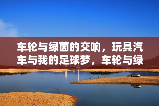 车轮与绿茵的交响，玩具汽车与我的足球梦，车轮与绿茵的交响，玩具汽车与我的足球梦