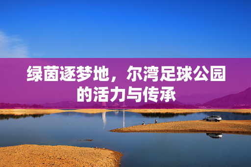 绿茵逐梦地，尔湾足球公园的活力与传承