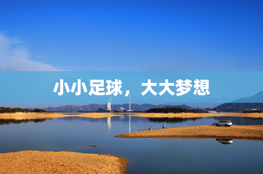 小小足球，大大梦想