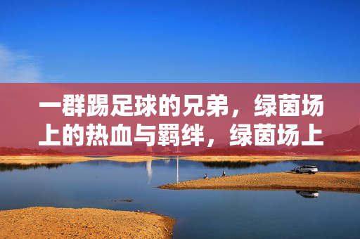 一群踢足球的兄弟，绿茵场上的热血与羁绊，绿茵场上的兄弟，足球里的热血与羁绊