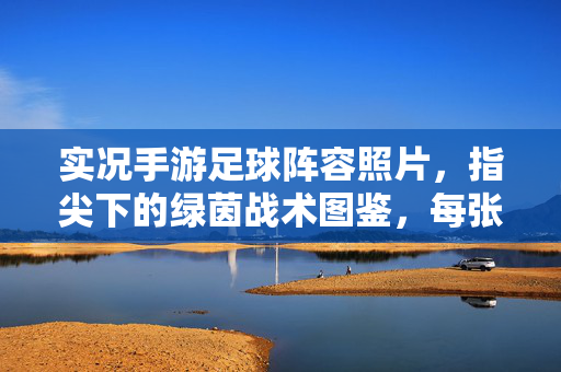 实况手游足球阵容照片，指尖下的绿茵战术图鉴，每张照片都藏着策略与激情的密码，实况手游足球阵容图鉴，指尖绿茵的战术密码与激情策略