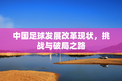 中国足球发展改革现状，挑战与破局之路