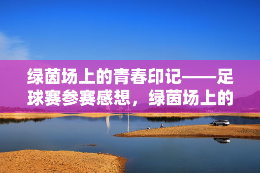 绿茵场上的青春印记——足球赛参赛感想，绿茵场上的青春印记——足球赛参赛感想