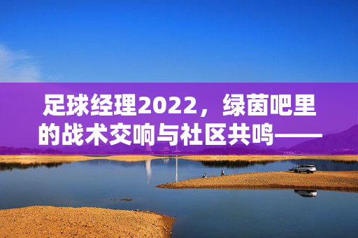 足球经理2022，绿茵吧里的战术交响与社区共鸣——数据驱动下的足球管理新体验