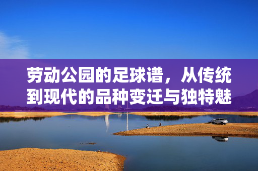 劳动公园的足球谱，从传统到现代的品种变迁与独特魅力