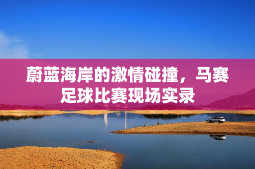 蔚蓝海岸的激情碰撞，马赛足球比赛现场实录