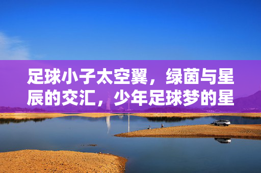足球小子太空翼，绿茵与星辰的交汇，少年足球梦的星际征途，足球小子太空翼，绿茵与星辰的交汇，少年足球梦的星际征途