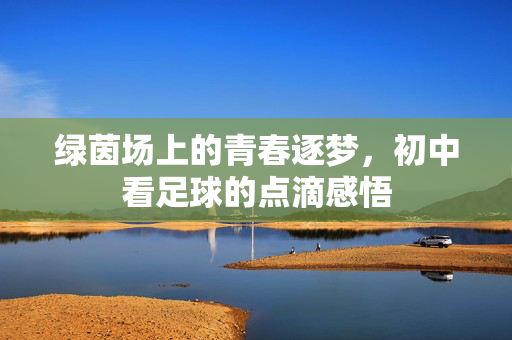 绿茵场上的青春逐梦，初中看足球的点滴感悟