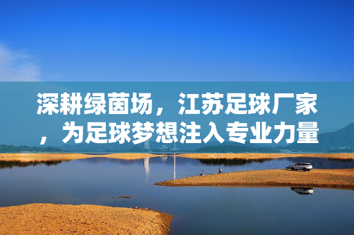 深耕绿茵场，江苏足球厂家，为足球梦想注入专业力量，深耕绿茵场，江苏足球厂家，为足球梦想注入专业力量