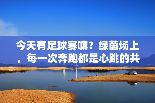今天有足球赛嘛？绿茵场上，每一次奔跑都是心跳的共鸣