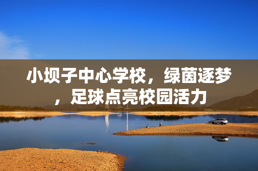 小坝子中心学校，绿茵逐梦，足球点亮校园活力