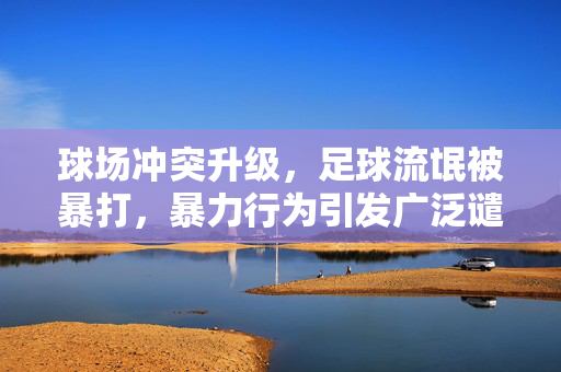 球场冲突升级，足球流氓被暴打，暴力行为引发广泛谴责