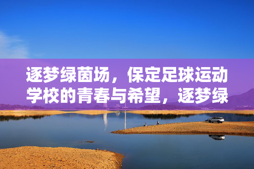 逐梦绿茵场，保定足球运动学校的青春与希望，逐梦绿茵场，保定足球运动学校的青春与希望