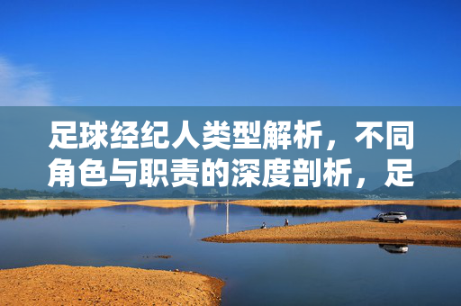 足球经纪人类型解析，不同角色与职责的深度剖析，足球经纪人类型解析，不同角色与职责的深度剖析