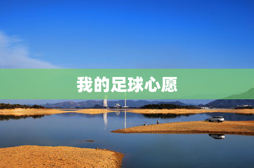 我的足球心愿