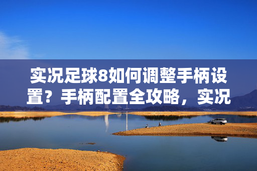 实况足球8如何调整手柄设置？手柄配置全攻略，实况足球8手柄设置调整全攻略，如何配置手柄操作