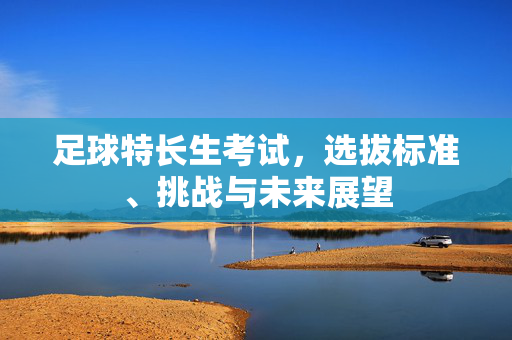 足球特长生考试，选拔标准、挑战与未来展望