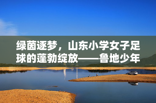绿茵逐梦，山东小学女子足球的蓬勃绽放——鲁地少年足球精神的青春印记