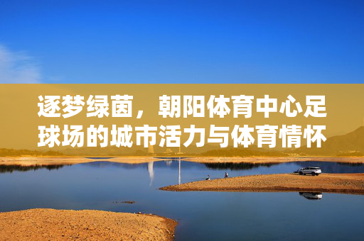 逐梦绿茵,朝阳体育中心足球场的城市活力与体育情怀