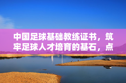 中国足球基础教练证书，筑牢足球人才培育的基石，点亮青少年足球梦想