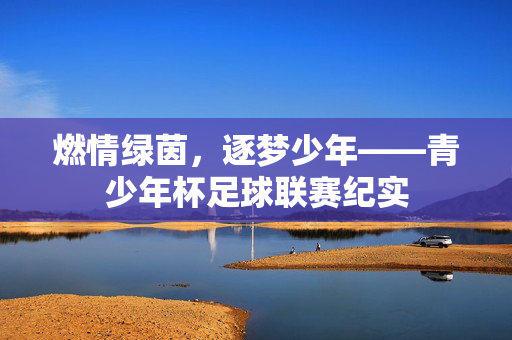燃情绿茵，逐梦少年——青少年杯足球联赛纪实