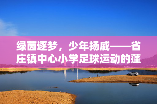 绿茵逐梦，少年扬威——省庄镇中心小学足球运动的蓬勃发展与育人成效