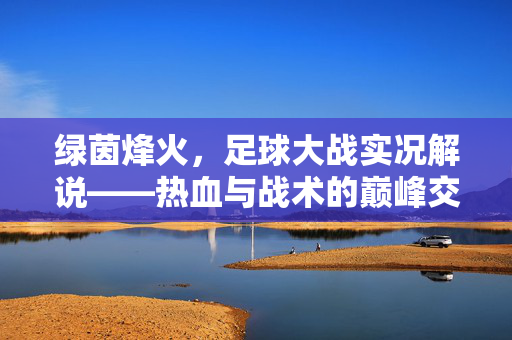 绿茵烽火，足球大战实况解说——热血与战术的巅峰交响