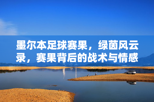 墨尔本足球赛果，绿茵风云录，赛果背后的战术与情感共鸣