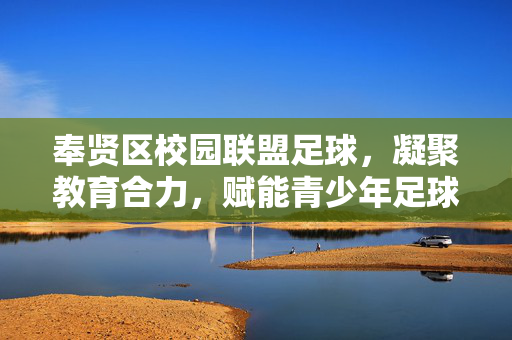 奉贤区校园联盟足球，凝聚教育合力，赋能青少年足球发展
