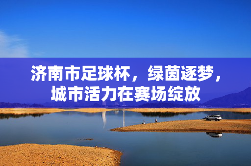 济南市足球杯，绿茵逐梦，城市活力在赛场绽放